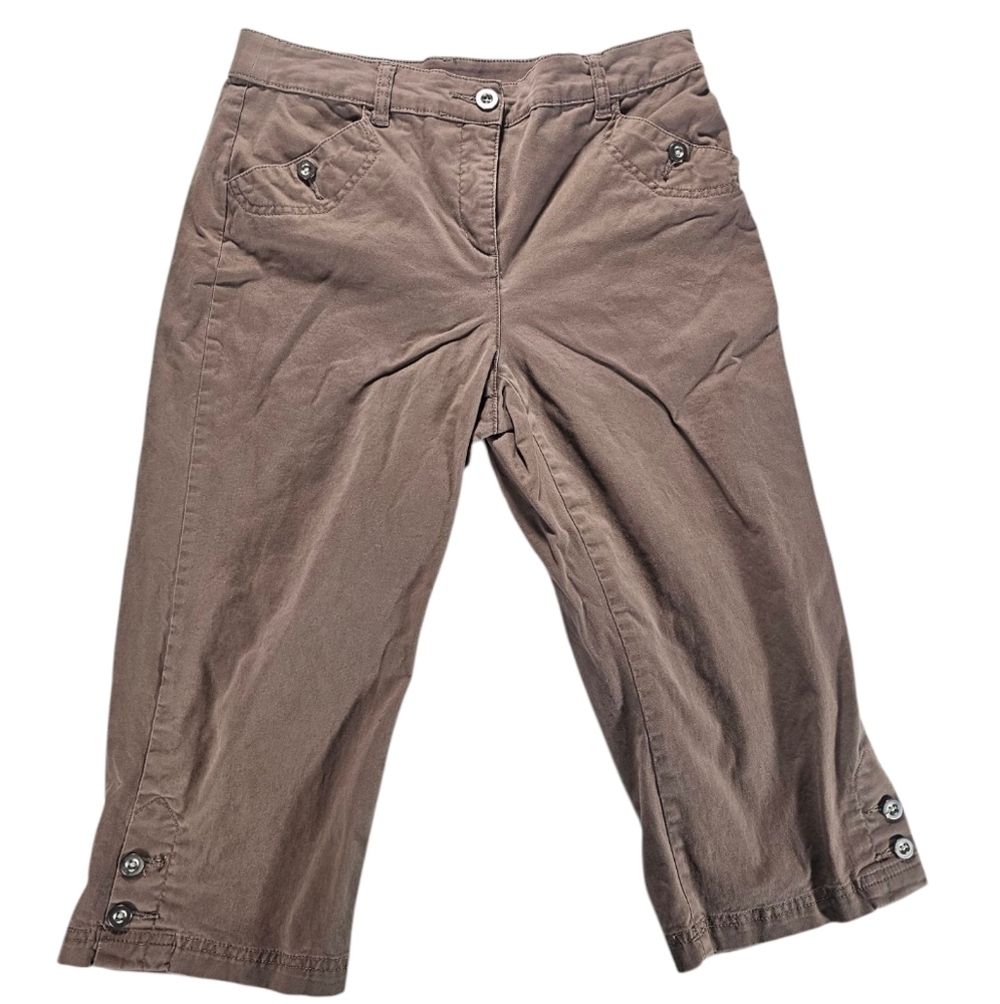 Karen Scott Tan Capri Pants Size 6P